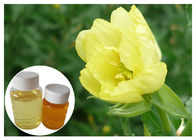 Evening Primrose Oil ผลิตภัณฑ์เสริมอาหารธรรมชาติ Omega 6 Gamma Linolenic Acid สำหรับเภสัชกรรม